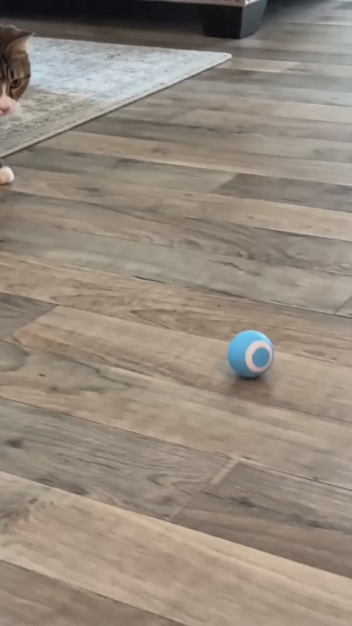 MOWU Motion Ball